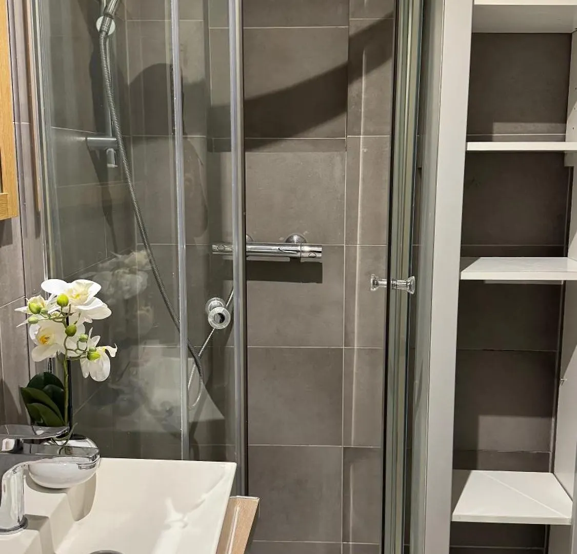Practical Lodging Near Le Louvre Paris Apartment